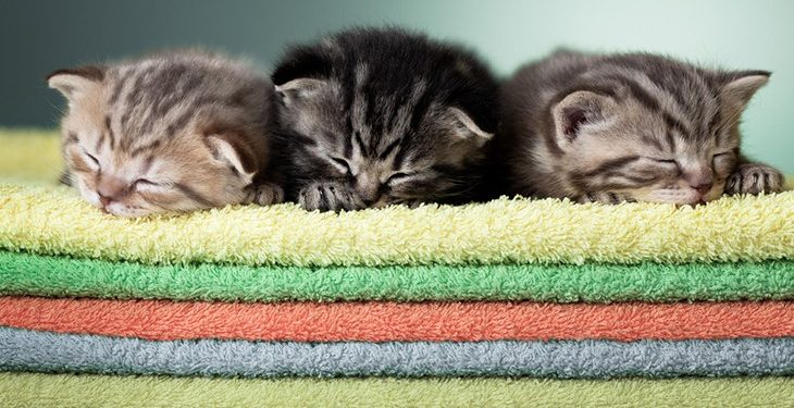 возвращаем мягкость