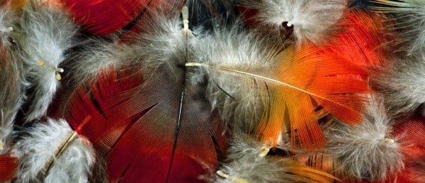 наполнитель пух перо