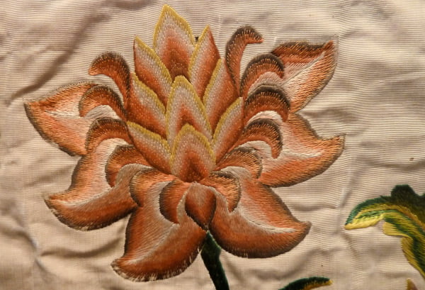 Особенности окраски