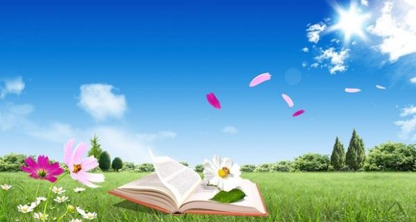 другие сонники