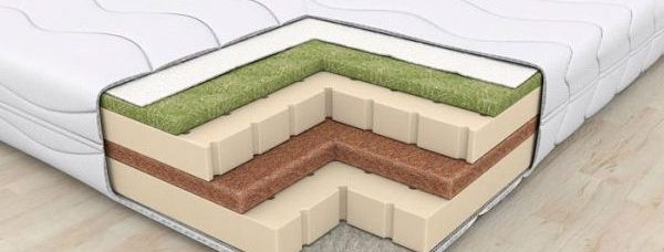 морские водоросли